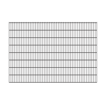 Panel 2D - 163cm - 6/5/6 mm - GRAFIT